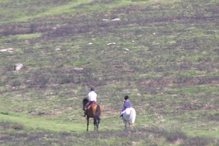 Horse Riding