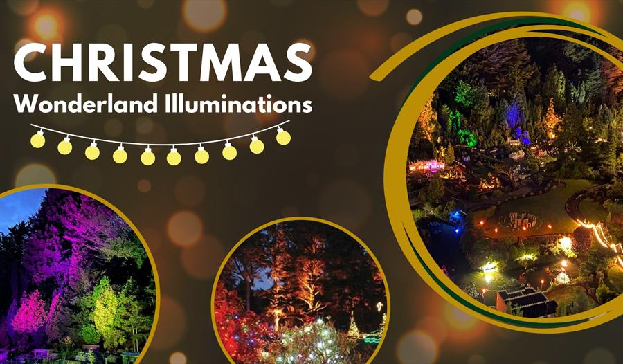 Christmas Wonderland Illuminations Christmas Wonderland Illuminations